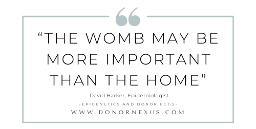 The British epidemiologist David Barker suggested that the environment in the womb might have a more significant impact on an individual's development than their upbringing. He highlighted the crucial influence of conditions during pregnancy on the growth of the embryo, the fetus, and eventually the adult's health and characteristics.